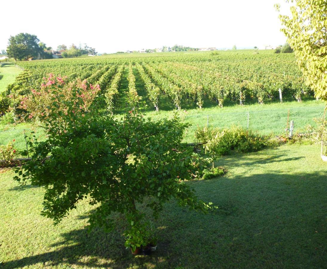 Le Clos Des Rosiers Saint-Émilion Екстериор снимка