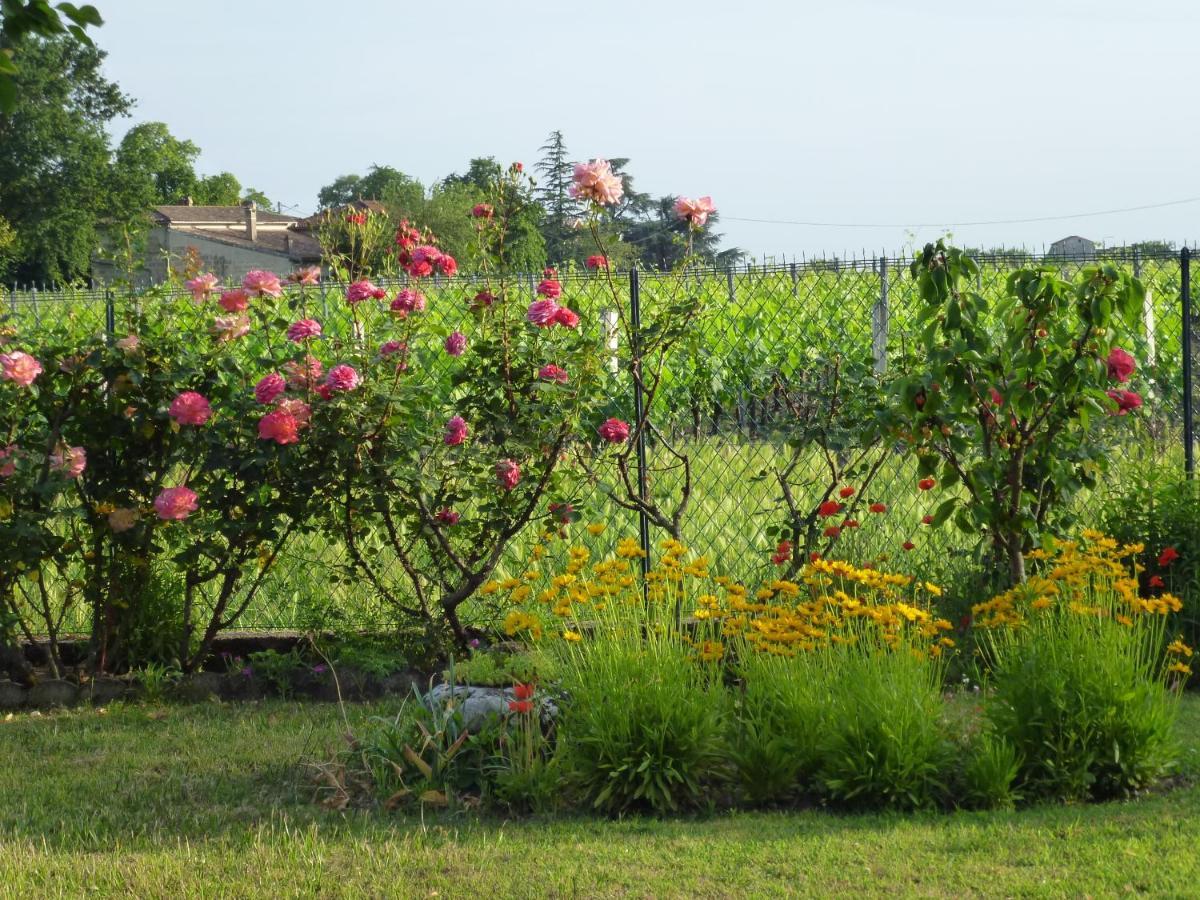 Le Clos Des Rosiers Saint-Émilion Екстериор снимка
