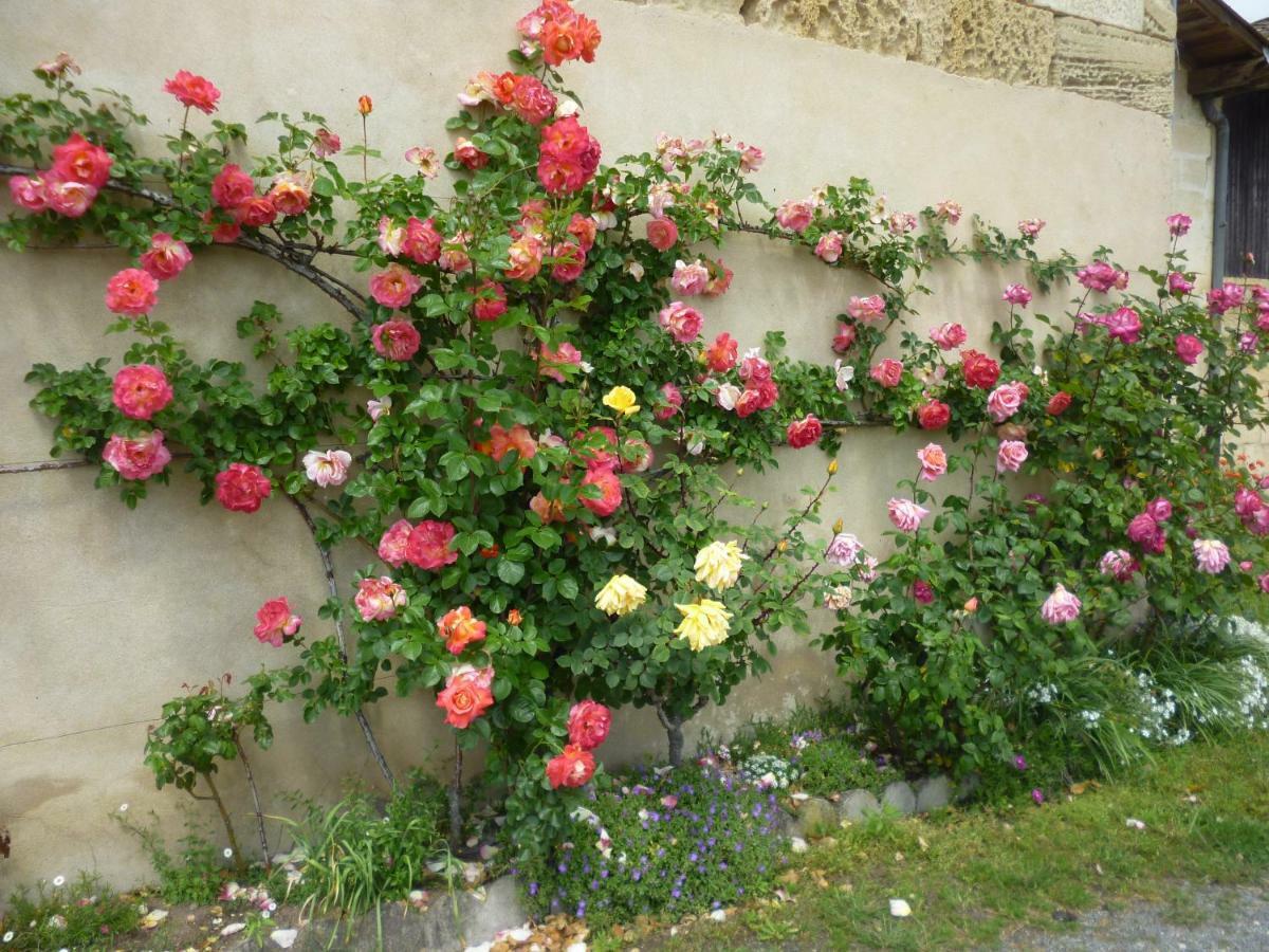 Le Clos Des Rosiers Saint-Émilion Екстериор снимка